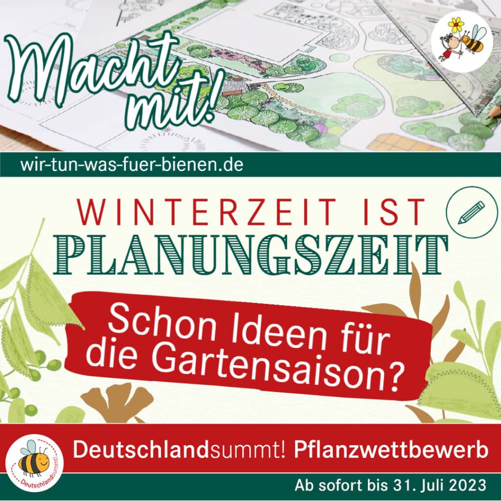 Deutschland summt Pflanzwettbewerb von der Stiftung Mensch und Umwelt