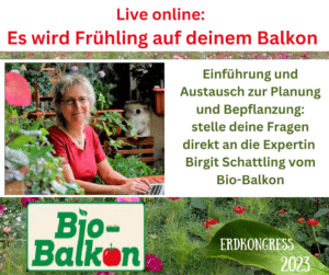 Live Treffen mit Birgit Schattling