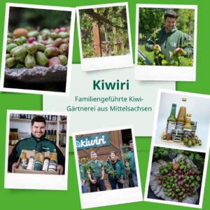 Mini-Kiwi-Beeren von Kiwiri im Kübel anbauen