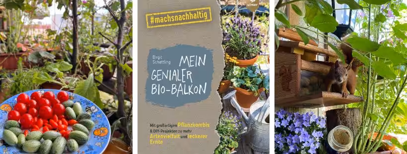 Buch Genialer Bio-Balkon Cover FB