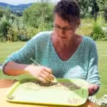 Saatgut-Expertin Cora Leroy spricht beim Online Bio-Balkon-Kongress zur Saatgutvielfalt und Saatgutvermehrung.