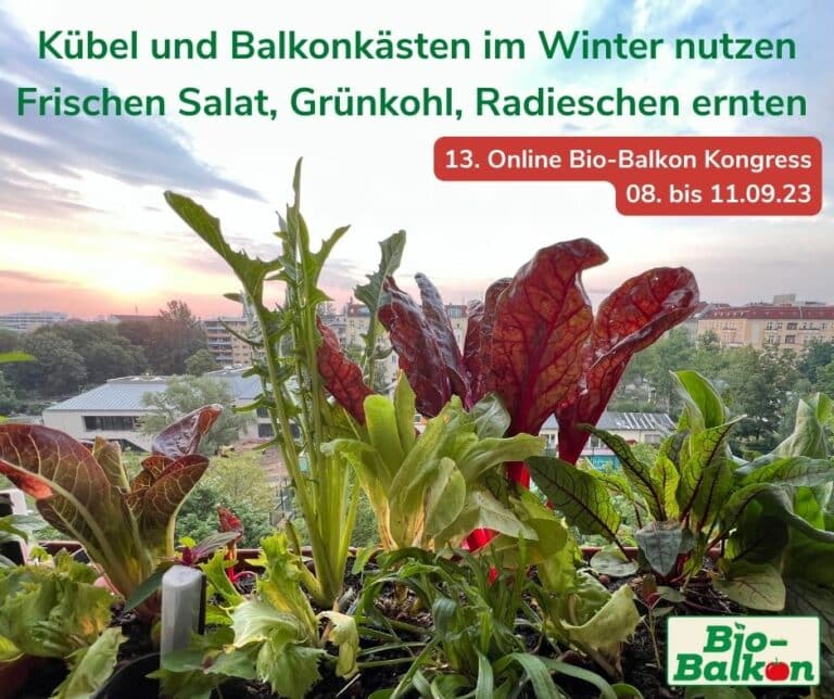 Beim 13. ONLINE BIO-BALKON KONGRESS VOM 8. BIS 11. SEPTEMBER 2023 "Schluss mit leeren Balkonkästen im Winter!" informieren 10 ExpertInnen