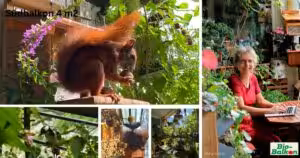 Vorstellung des Südbalkons der Balkonexpertin Birgit Schattling