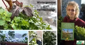 Lerne im Online-Gruppenkurs „Gemeinsam Wintergärtnern“ auch im Winter auf dem Balkon frische, gesunde Kräuter, Gemüse und Salate zu ernten
