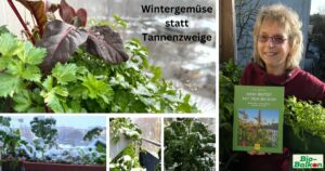 Lerne im Online-Gruppenkurs „Gemeinsam Wintergärtnern“ auch im Winter auf dem Balkon frische, gesunde Kräuter, Gemüse und Salate zu ernten