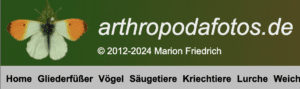 Webseite zur Unterstützung bei der Bestimmung von Tieren und Pflanzen arthropodafotos.de