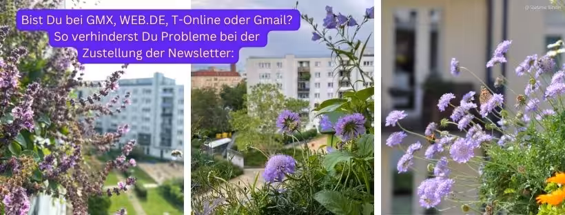 So verhindest Du Zustellprobleme bei der Zustellung der Newsletter des Online Bio-Balkon-Kongress.