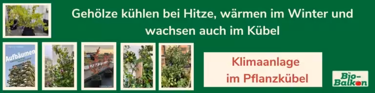 Header für den Newsletter für den 15. Online Bio-Balkon-Kongress "Klimaanlage im Pflanzkübel"