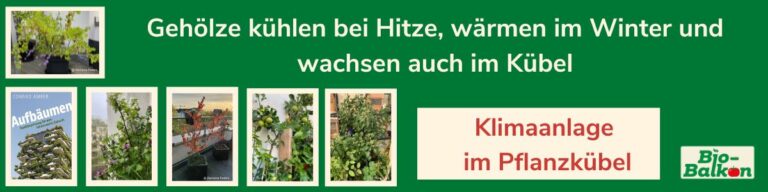 Header für den Newsletter für den 15. Online Bio-Balkon-Kongress "Klimaanlage im Pflanzkübel"