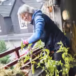 Sylvia Meise stellt beim Online Bio-Balkon-Kongress ihren kleinen naturnah gestalteten Balkon vor.