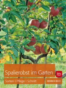 Spalierobst im Garten- Sorten, Pflege, Schnitt - Buch von Gärtnermeister Heinrich Beltz