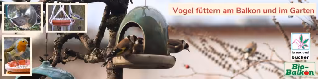 Vogel füttern am Balkon und im Garten - hier futtern Stieglitze am Futterhaus.