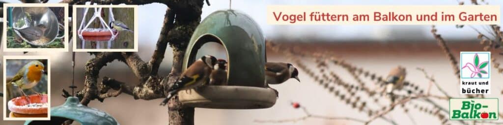 Vogel füttern am Balkon und im Garten - hier futtern Stieglitze am Futterhaus.