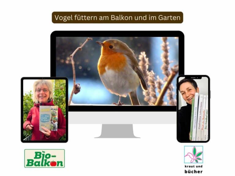 Vogel füttern am Balkon und im Garten BioBalkon