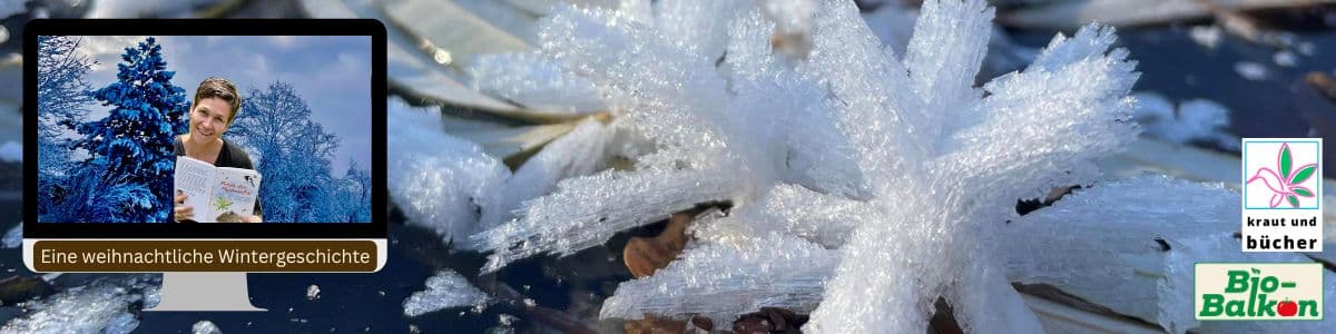 Geoökologin Sigid Tinz hat für die Artensprechstunde Weihnachten eine Wintergeschichte eingelesen.