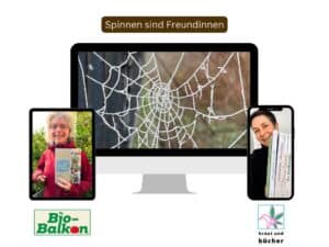 Artensprechstunde auf Birgits Bio-Balkon mit Sigrid Tinz: Spinnen sind Freundinnen