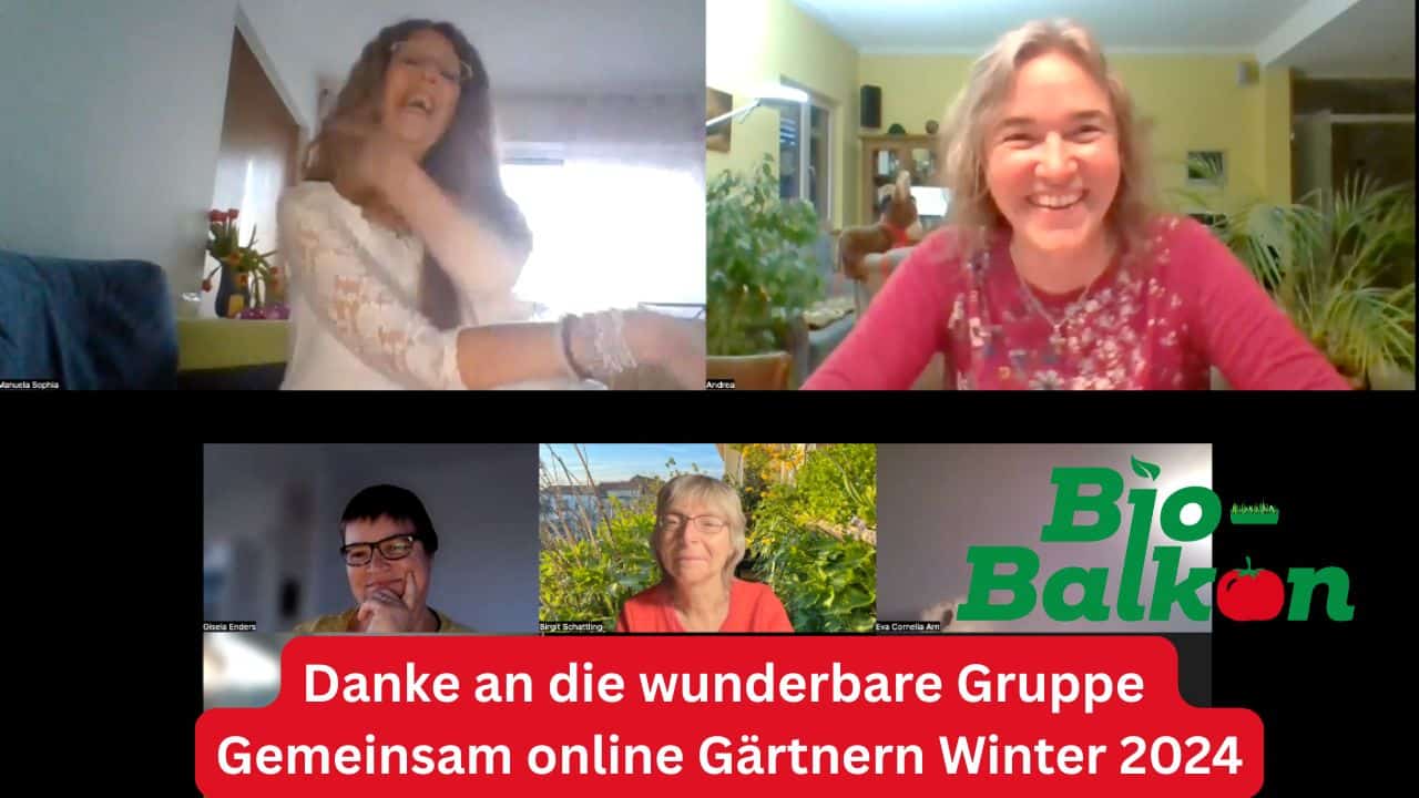 Winter 24