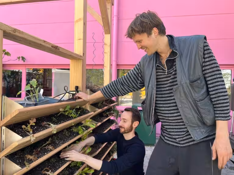 Die Klimaterrasse mit Vertikalbeet in der Balkonschule Berlin wird von Helfern bepflanzt.