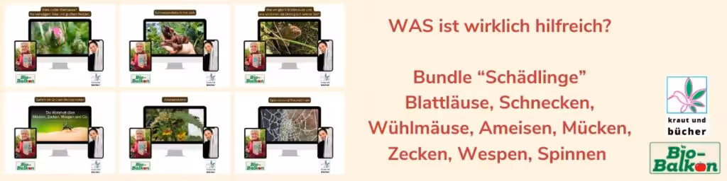 Artensprechstunde auf Birgits Bio-Balkon: Mockup für das Bundle “Schädlinge”: Blattläuse, Schnecken, Wühlmäuse, Ameisen, Mücken, Zecken, Wespen, Spinnen