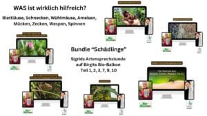 Artensprechstunde auf Birgits Bio-Balkon: Mockup für das Bundle “Schädlinge”: Blattläuse, Schnecken, Wühlmäuse, Ameisen, Mücken, Zecken, Wespen, Spinnen