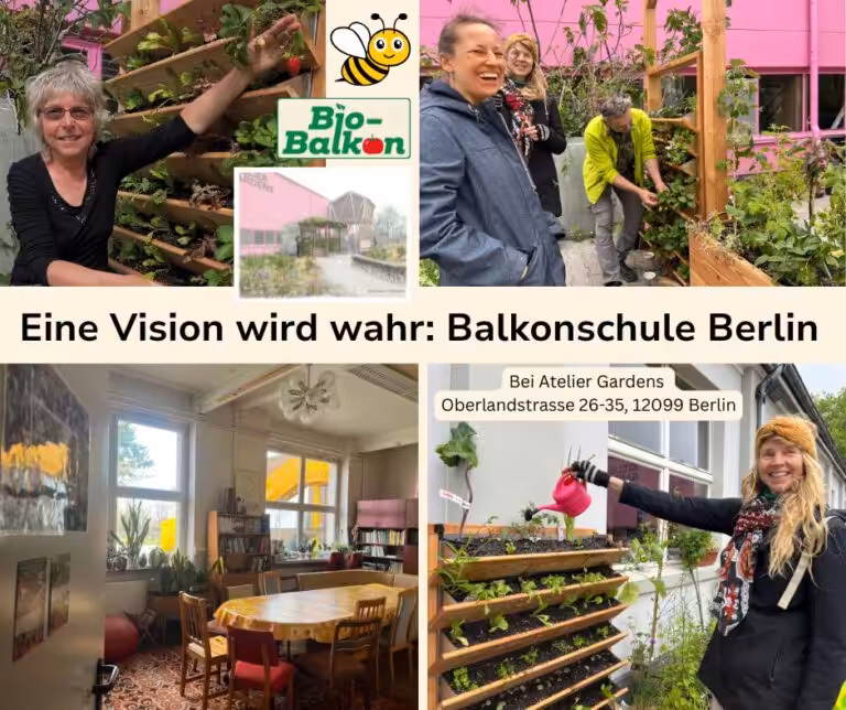 Eine Vision wird wahr - Aufbau der Balkonschule Balkonschule Berlin.