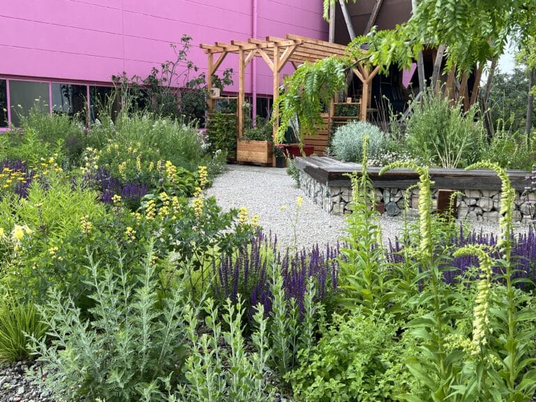 Die Klimaterrasse der Balkonschule Berlin für Schulungen zum ökologischen Gärtnern auf kleinem Raum bei Atelier Gardens Berlin-Tempelhof