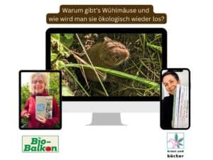Warum gibt’s Wühlmäuse und wie wird man sie ökologisch wieder los? Teil 9 von Sigrids Artensprechstunde auf Birgits Bio-Balkon