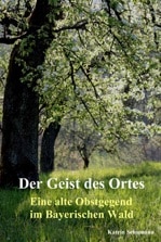 Buch von Katrin Schumann: Der Geist des Ortes