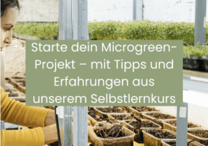 Dein Microgreen Onlinekurs – praxisnah, ehrlich und inspirierend