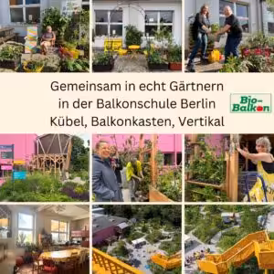 Gemeinsam Gärtnern Balkonschule in der Balkonschule Berlin