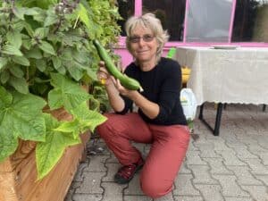 Ernte einer großen Gurke in der Balkonschule Berlin