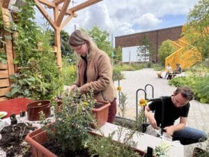 In der Balkonschule Berlin werden von den Teilnehmern des Jahreskurses Wildpflanzen für trockene, sonnige, heiße Standorte gepflanzt.