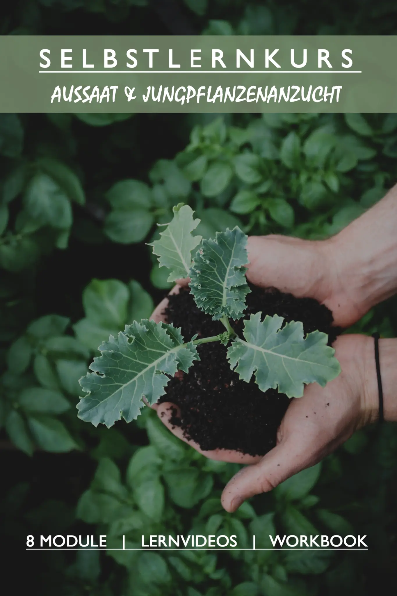 Onlinekurs Aussaat und Jungpflanzenanzucht von Til Genrich