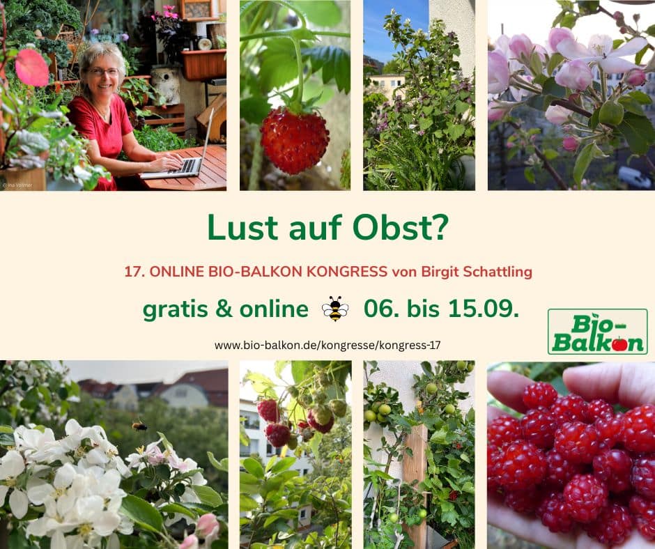 Gärtnere mit Birgit Schattling’s Bio-Balkon-Bewegung und genieße das ganze Jahr Vielfalt und Natur. Melde Dich an zum 17. Online Bio-Balkon-Kongress!