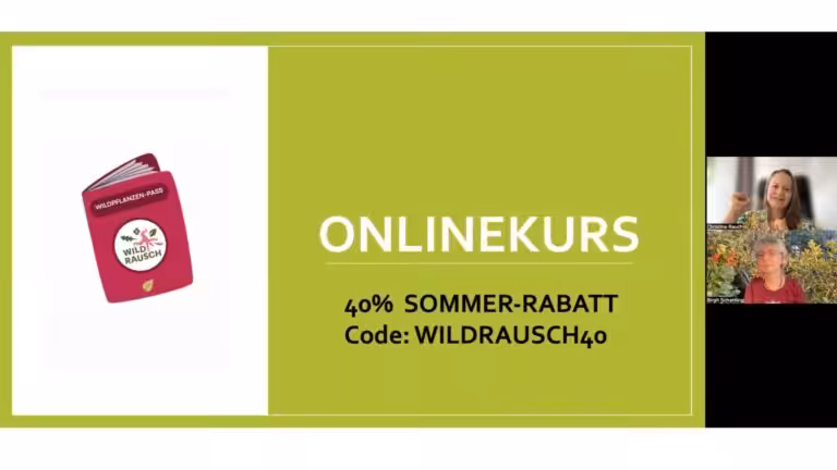 Onlinekurs Wildpflanzen-Pass mit Wildpflanzenexpertin Christine Rauch