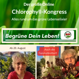 Online-Kongress von Maria Kageaki zur gesundheitlichen Wirkung vom Chlorophyll, vom Blattgrün