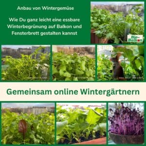 Live Onlinekurs von Bio-Balkon: Gemeinsam online Wintergärtnern