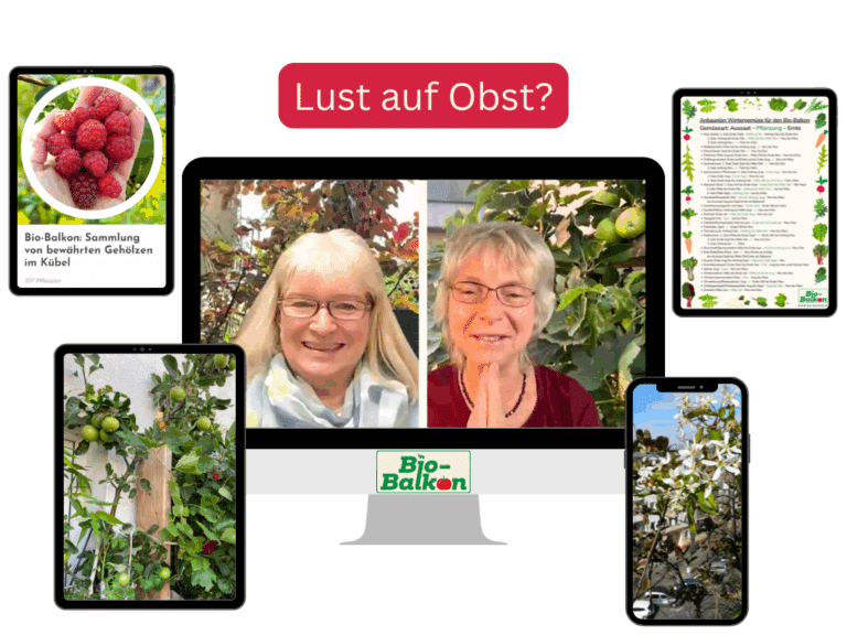 Mockup vom Kongresspaket des Bio-Balkon-Kongresses "Lust auf Obst"