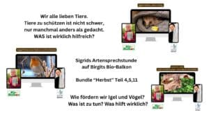 Wie fördern wir Igel und Vögel? Was ist zu tun? Was hilft wirklich? Artensprechstunde Herbst für Vögel und Igel