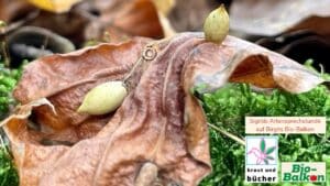 Laub ist Liebe - Laub sinnvoll nutzen, nicht daran verzweifeln