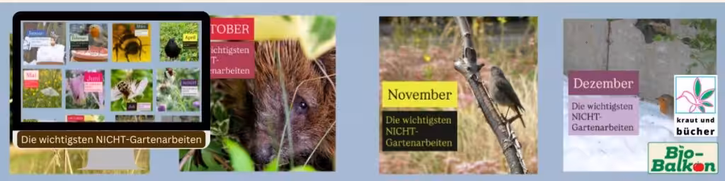 Garten Nicht Arbeiten Monat für Monat mit der Artenschützerin Sigrid Tinz