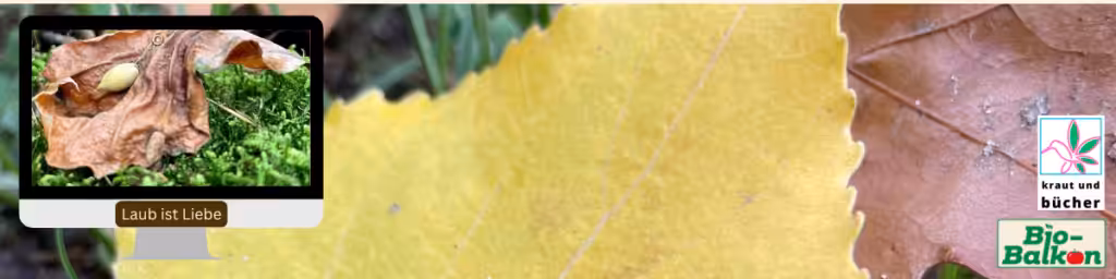 Header der Artensprechstunde: Laub ist Liebe. Laub sinnvoll nutzen, nicht daran verzweifeln.
