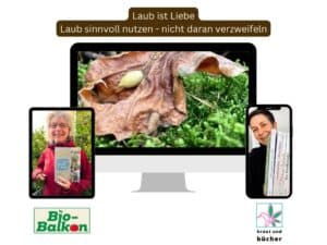 Mockup der Artensprechstunde "Laub ist Liebe"