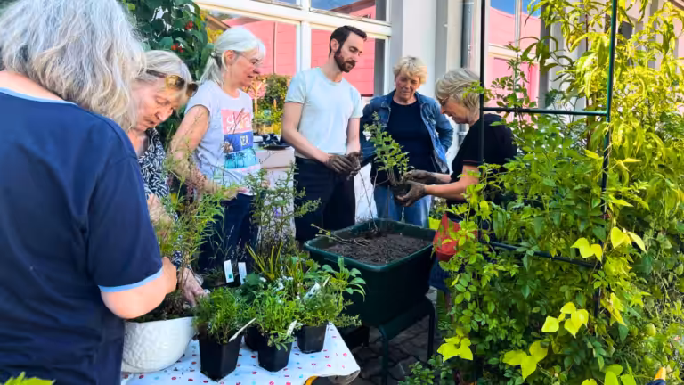 Pflanzung eines Sumpfkübels in der Balkonschule Berlin