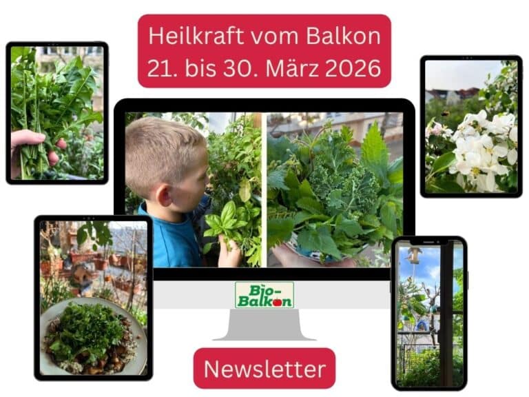 Einladung für den 18. Bio-Balkon-Kongress "Heilkraft vom Balkon" im März 2026