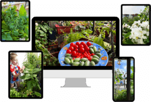 Mockup für den 18. Online Bio-Balkon-Kongress