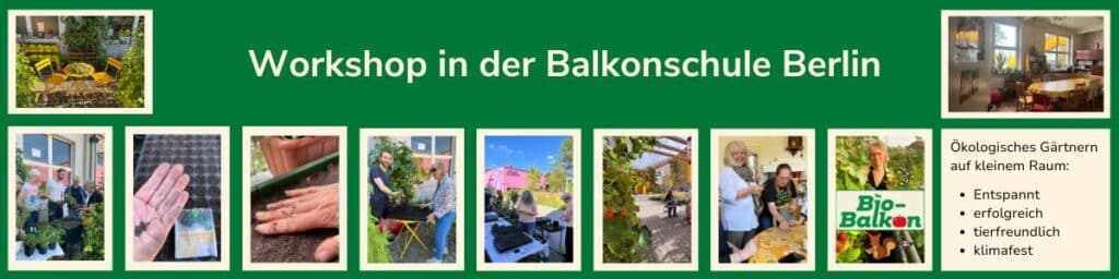 Workshop Gärtnern auf dem Balkon in der Balkonschule Berlin