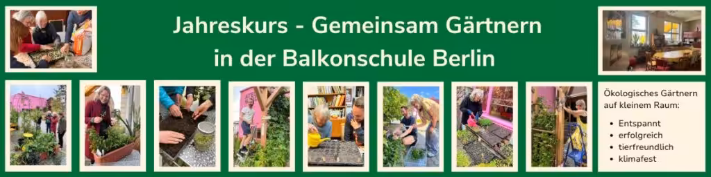 Jahreskurs Gemeinsam Gärtnern in der Balkonschule Berlin