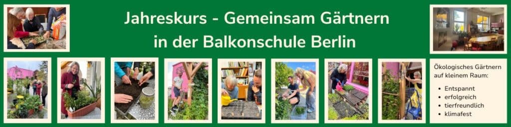 Jahreskurs Gemeinsam Gärtnern in der Balkonschule Berlin