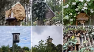 Garten Nicht Arbeiten Nisthilfen für Insekten und Vögel mit der Artenschützerin Sigrid Tinz